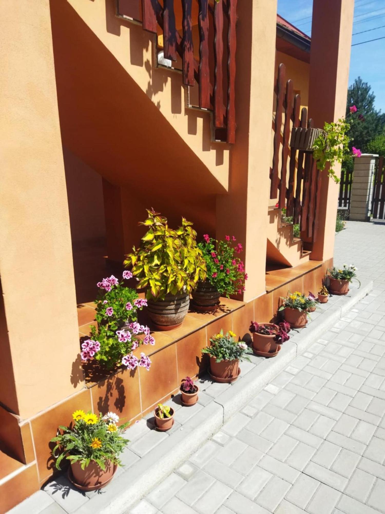 Ubytovani Pod Statkem Tichá Exterior foto
