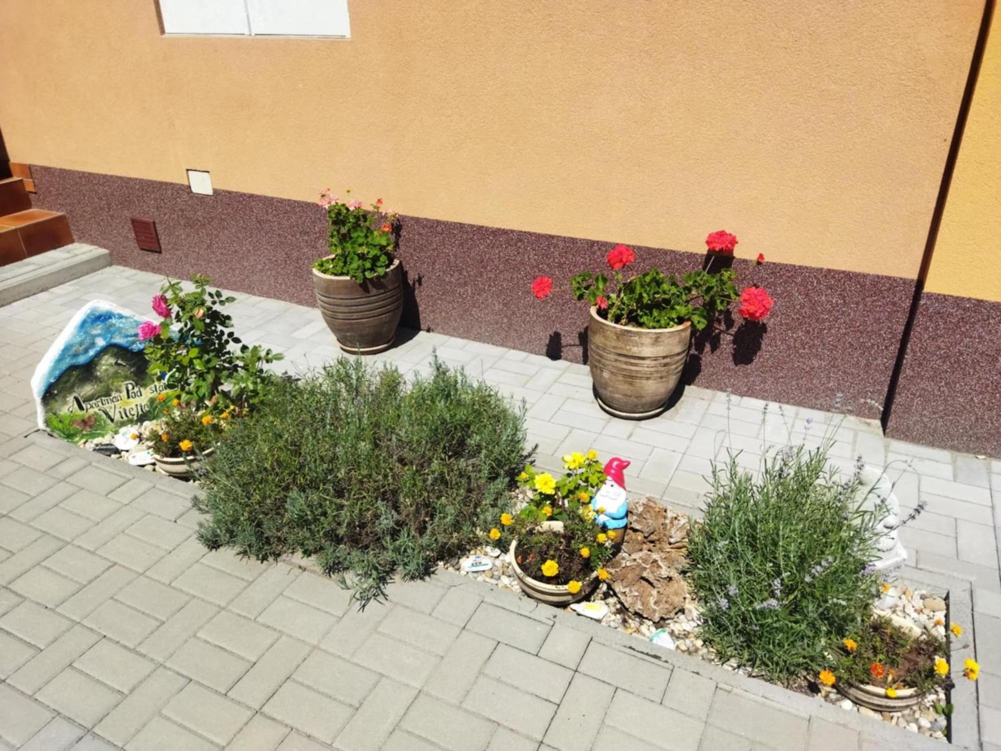 Ubytovani Pod Statkem Tichá Exterior foto